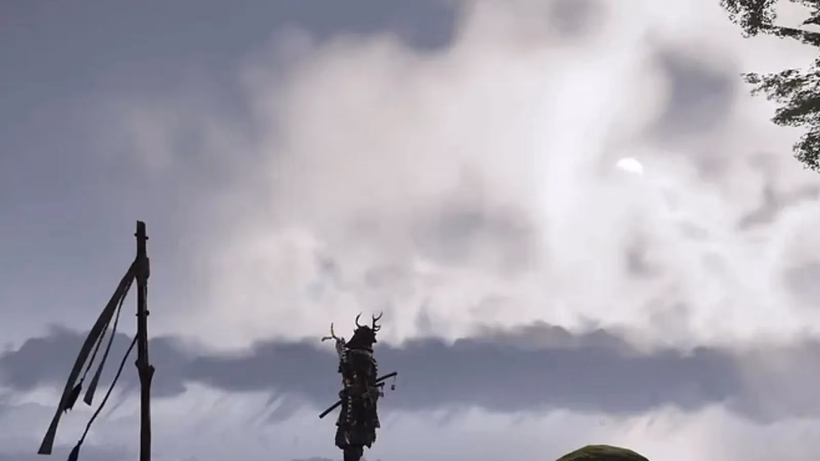 whispers-of-the-past-a-five-year-journey-through-tsushima-s-ghostly-pines-image-1